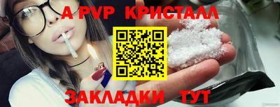 шишки Будённовск