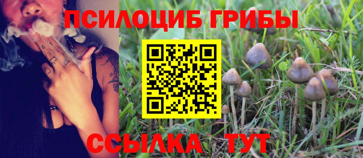 Псилоцибиновые грибы GOLDEN TEACHER Санкт-Петербург